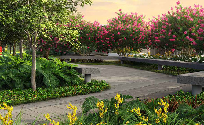 nature garden